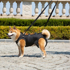 Peitoral de Suporte Ortopédico para Cães e Gatos com Mobilidade Reduzida
