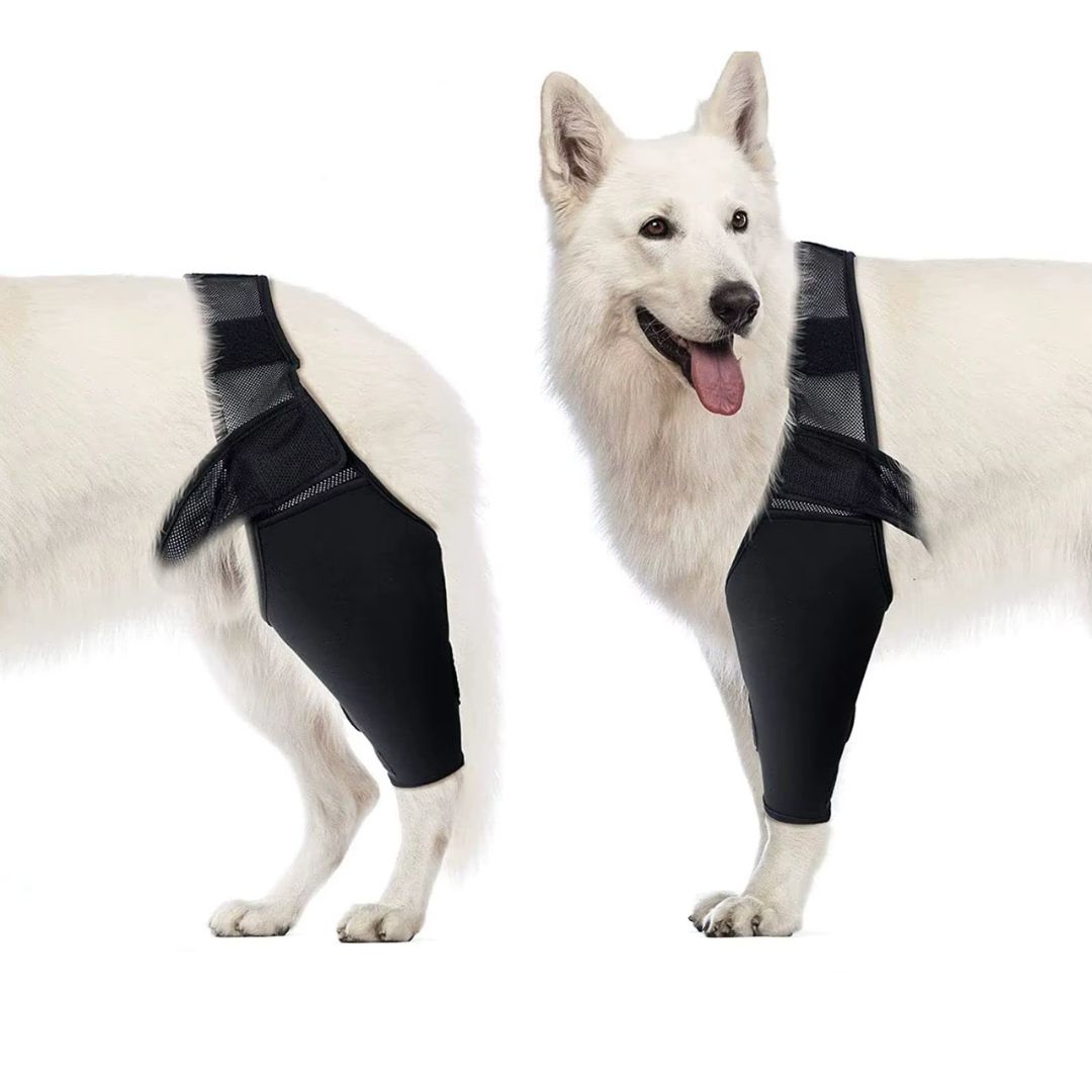 Joelheira Ajustável para Cães – Alívio da Dor Ortopédico