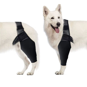 Joelheira Ajustável para Cães – Alívio da Dor Ortopédico