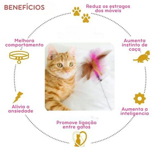 Brinquedo Interativo Coleira Pega-Pena para Gatos –  Estimula o Instinto de Caça e Diversão para Felinos