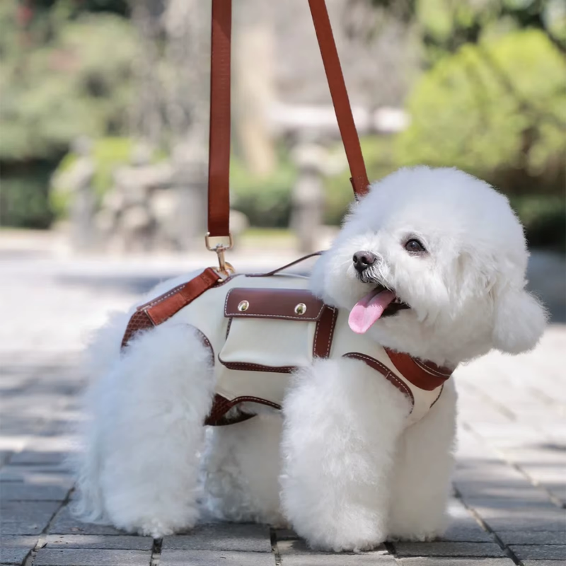 Bolsa Transportadora Respirável para Cães e Gatos – Design Moderno, Sofisticado e Confortável, com Alça Ajustável para Transporte Portátil