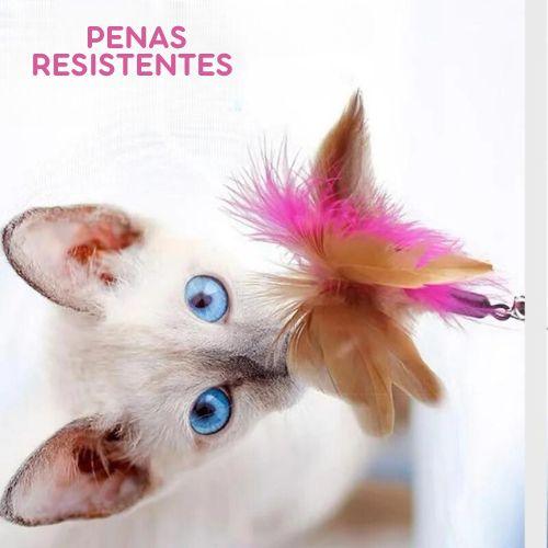 Brinquedo Interativo Coleira Pega-Pena para Gatos –  Estimula o Instinto de Caça e Diversão para Felinos