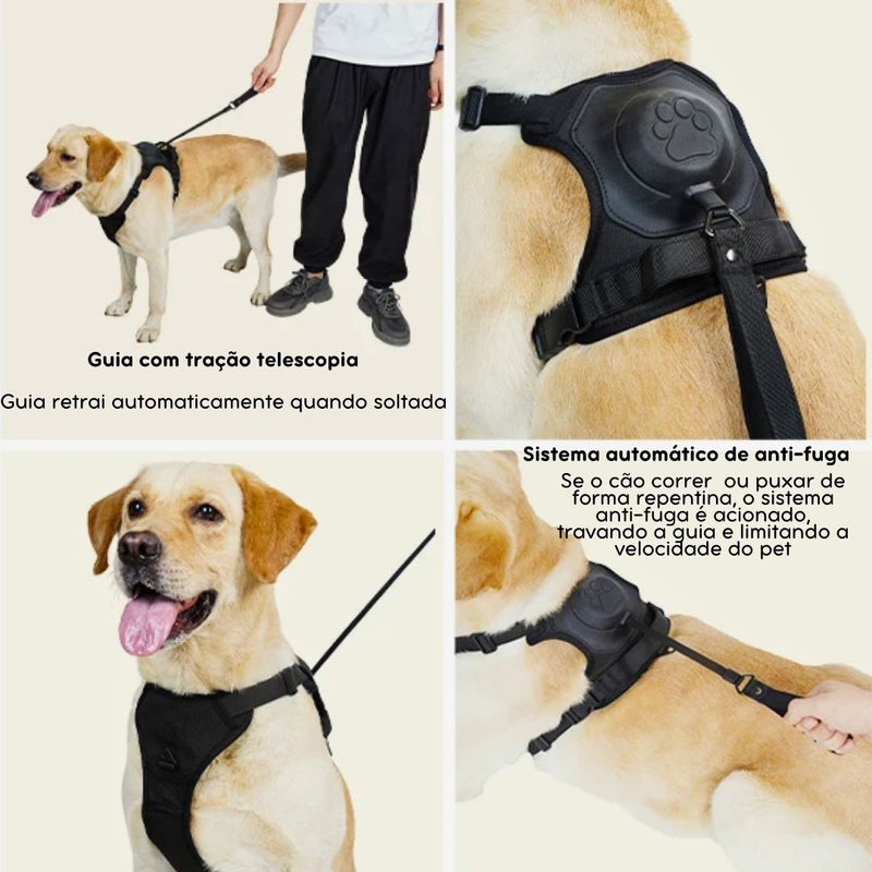 Coleira com Guia Embutida para Pets - Acessório Prático para Cães e Gatos que Facilita os Passeios com Conforto e Segurança