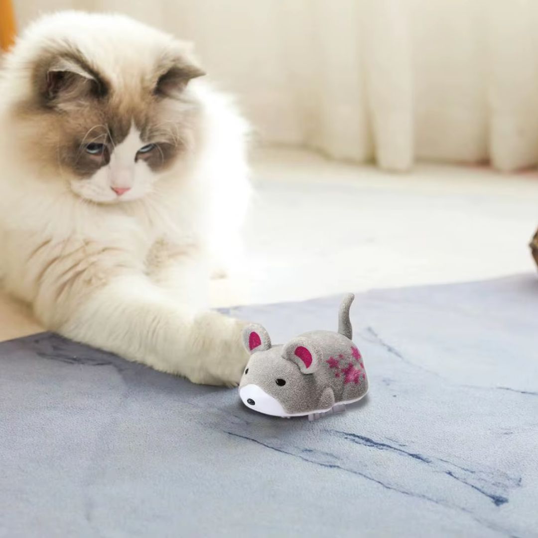 Brinquedo Eletrônico para Gatos | Ideal para Gatinhos Ativos | Estimula o Instinto de Caça e o Exercício Diário | Ratinho Automático com Movimento Vibratório