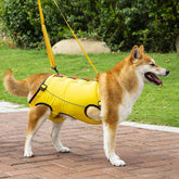 peitoral de suporte ortopédico com alça para cão e gato com mobilidade reduzida