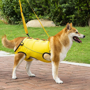 Peitoral de Suporte Ortopédico para Cães e Gatos com Mobilidade Reduzida