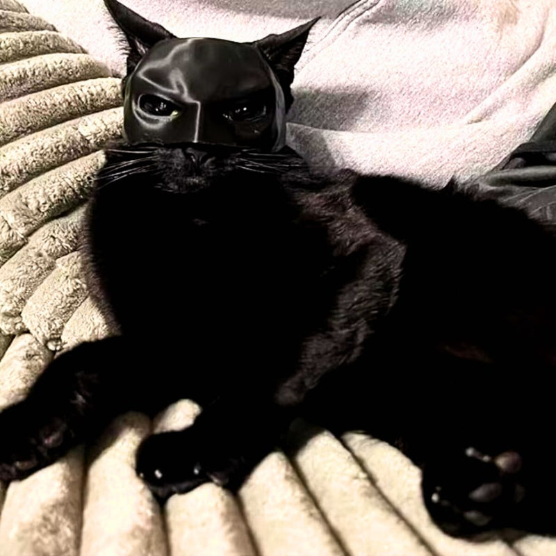 Máscara Batman Para Gatos