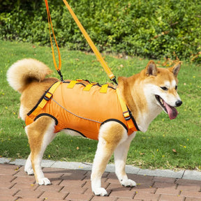 Peitoral de Suporte Ortopédico para Cães e Gatos com Mobilidade Reduzida
