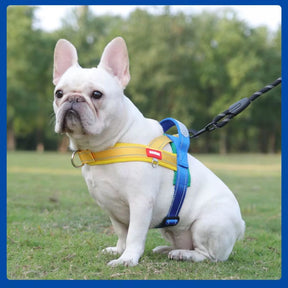 Coleira Peitoral Estilo Sela para Cães Pequenos, Médios e Grandes | Ideal para Caminhadas Seguras ao Ar Livre | Distribui a Pressão Sem Machucar | Ajustável e Confortável