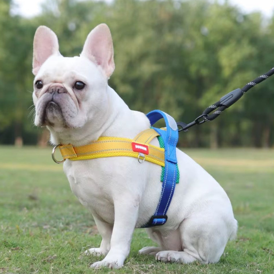 Coleira Peitoral Estilo Sela para Cães Pequenos, Médios e Grandes | Ideal para Caminhadas Seguras ao Ar Livre | Distribui a Pressão Sem Machucar | Ajustável e Confortável