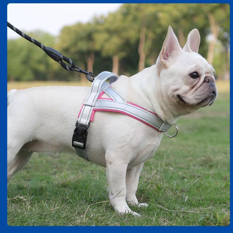 Coleira Peitoral Estilo Sela para Cães Pequenos, Médios e Grandes | Ideal para Caminhadas Seguras ao Ar Livre | Distribui a Pressão Sem Machucar | Ajustável e Confortável