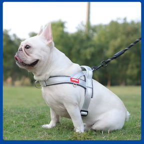 Coleira Peitoral Estilo Sela para Cães Pequenos, Médios e Grandes | Ideal para Caminhadas Seguras ao Ar Livre | Distribui a Pressão Sem Machucar | Ajustável e Confortável