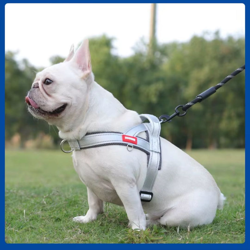 Coleira Peitoral Estilo Sela para Cães Pequenos, Médios e Grandes | Ideal para Caminhadas Seguras ao Ar Livre | Distribui a Pressão Sem Machucar | Ajustável e Confortável