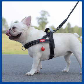 Coleira Peitoral Estilo Sela para Cães Pequenos, Médios e Grandes | Ideal para Caminhadas Seguras ao Ar Livre | Distribui a Pressão Sem Machucar | Ajustável e Confortável