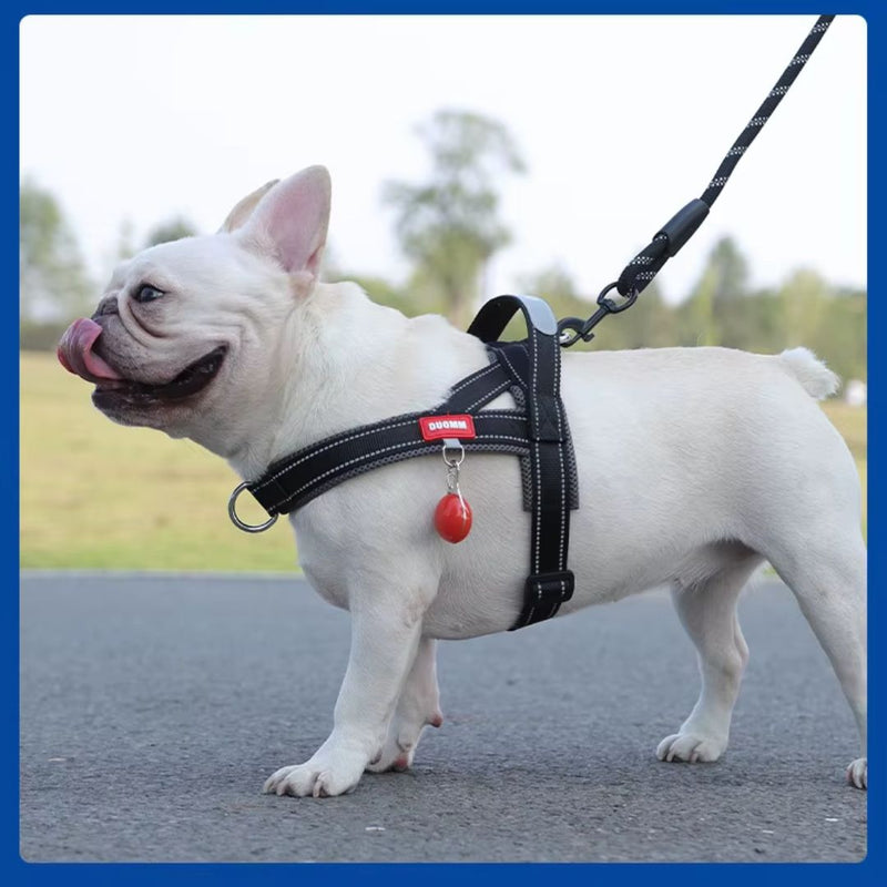 Coleira Peitoral Estilo Sela para Cães Pequenos, Médios e Grandes | Ideal para Caminhadas Seguras ao Ar Livre | Distribui a Pressão Sem Machucar | Ajustável e Confortável