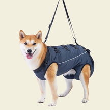 Peitoral de Suporte Ortopédico para Cães e Gatos com Mobilidade Reduzida