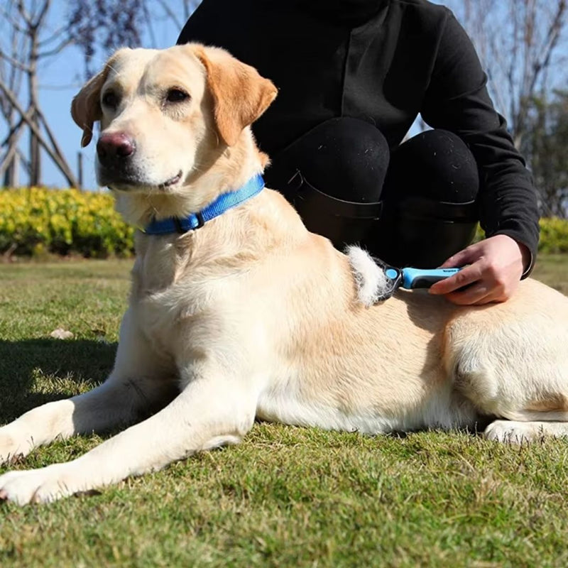 Pente Desembaraçador Profissional para Cães e Gatos - Remove Nós e Pelos Embolados com Cerdas Seguras e Confortáveis