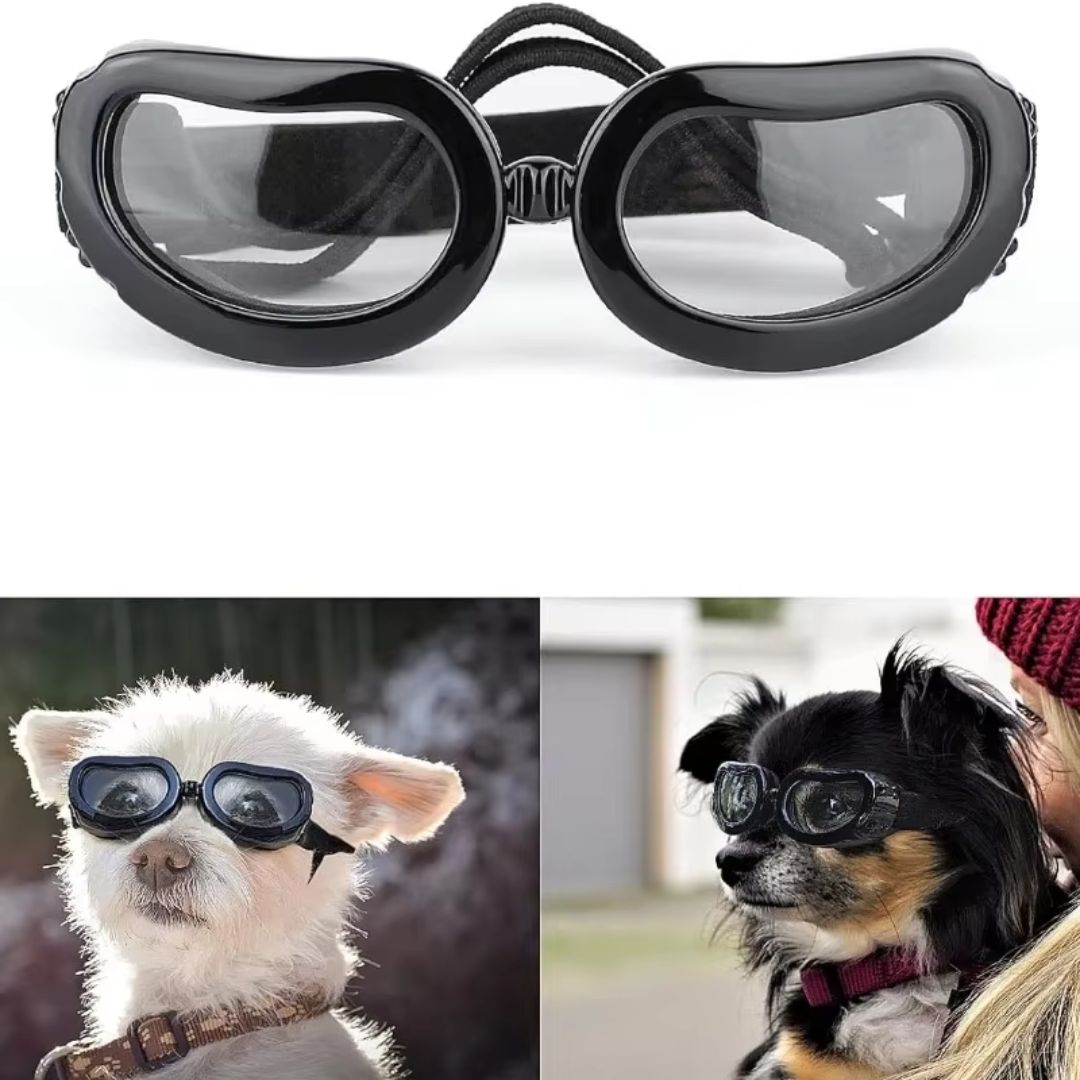 Óculos de Sol para Cães e Gatos – Proteção UV com Design Ventilado à Prova de Vento para Passeios ao Ar Livre