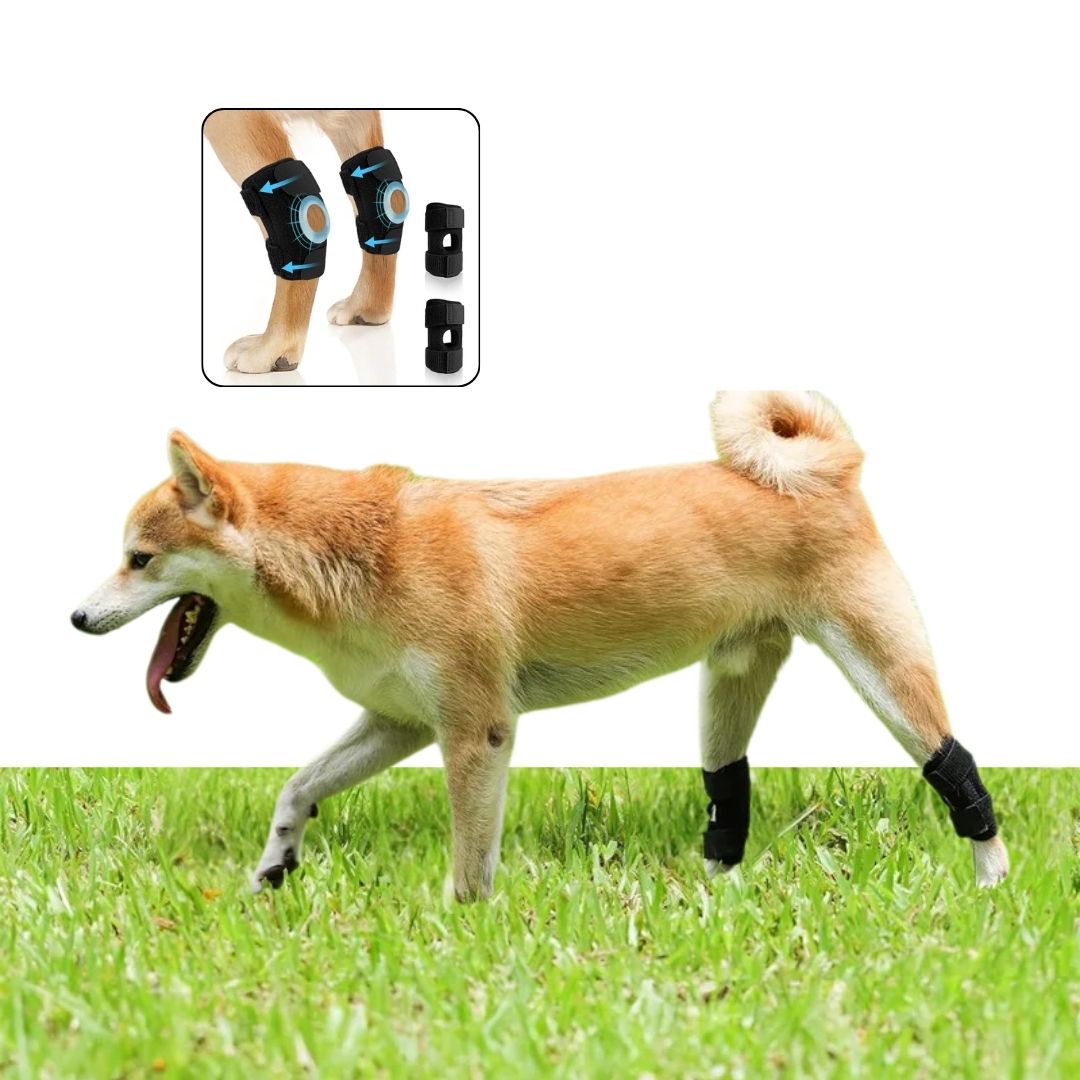Joelheira Ortopédica para Cães – Suporte e Recuperação Articular velú pet