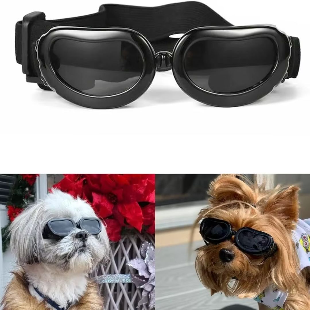 Óculos de Sol para Cães e Gatos – Proteção UV com Design Ventilado à Prova de Vento para Passeios ao Ar Livre