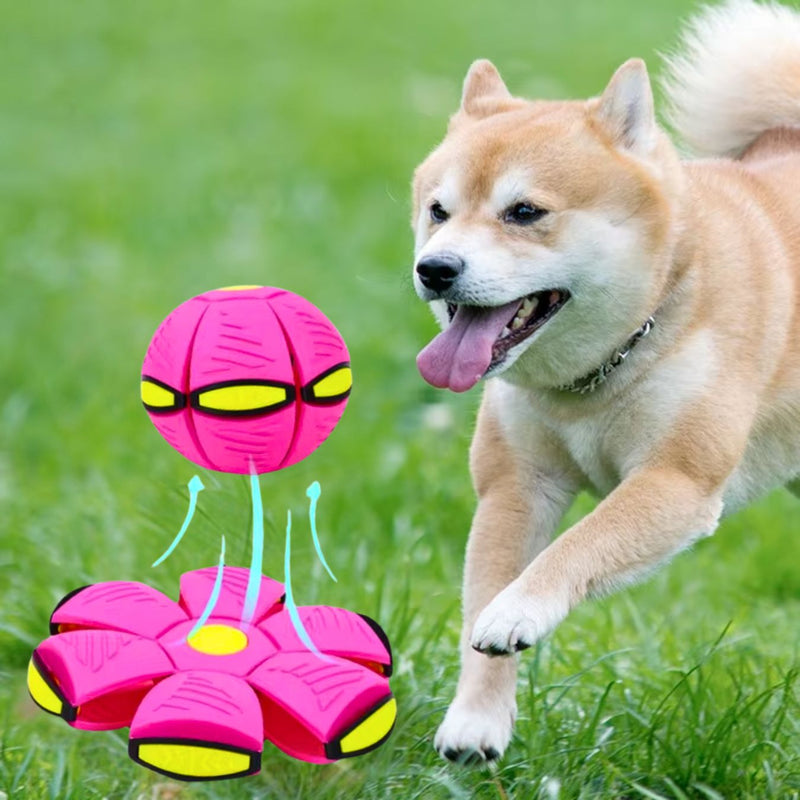 Bola UFO Voadora para Cães: Brinquedo Interativo para Estimular a Diversão e o Exercício, com Lançamento em Distância