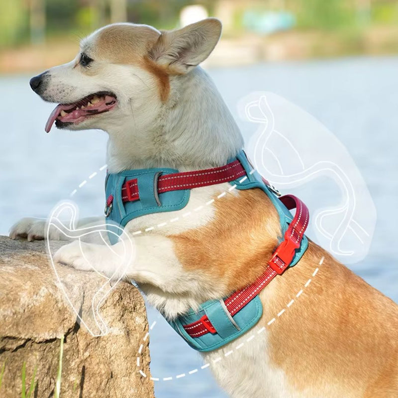 Coleira Peitoral Antipuxão para Cães – Para Cães Pequenos, Médios e Grandes – Ideal para Passeios Seguros e Confortáveis – Com Malha Respirável e Fivela de Liberação Rápida