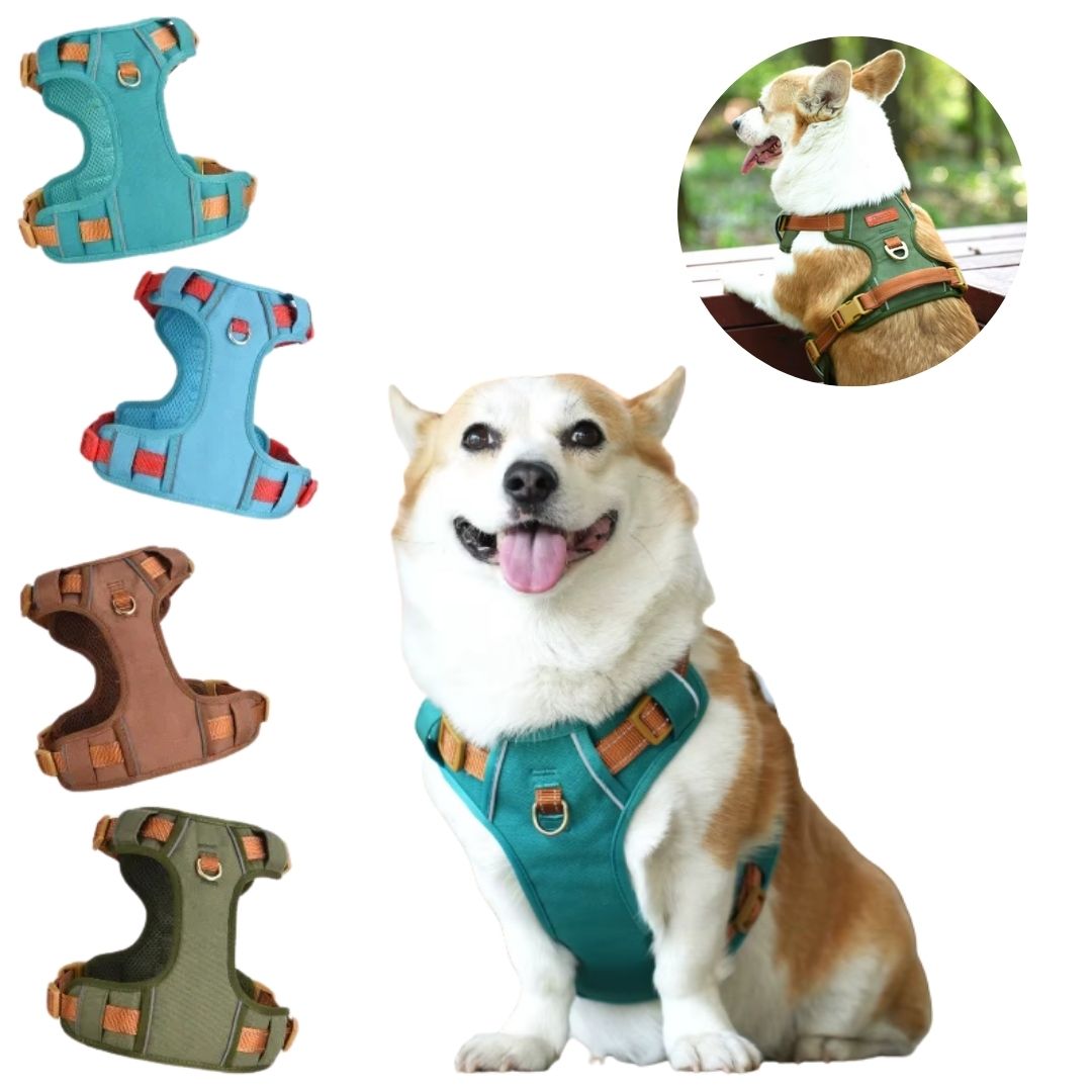 Coleira Peitoral Antipuxão para Cães – Para Cães Pequenos, Médios e Grandes – Ideal para Passeios Seguros e Confortáveis – Com Malha Respirável e Fivela de Liberação Rápida