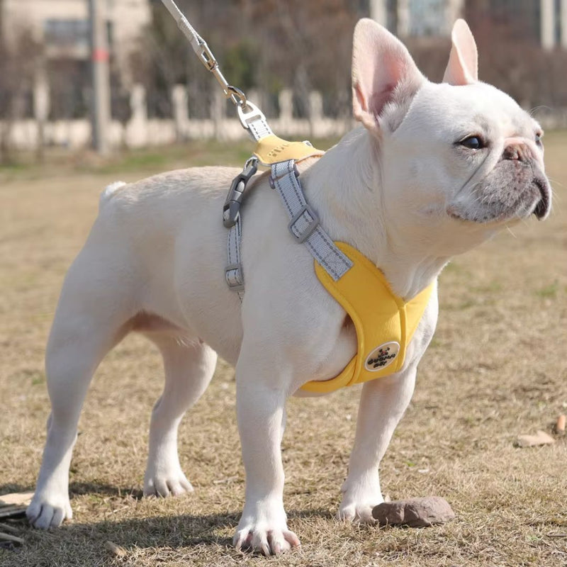 Colete Peitoral Reflexivo Ajustável para Cães e Gatos – Conforto e Segurança para Passeios ao Ar Livre