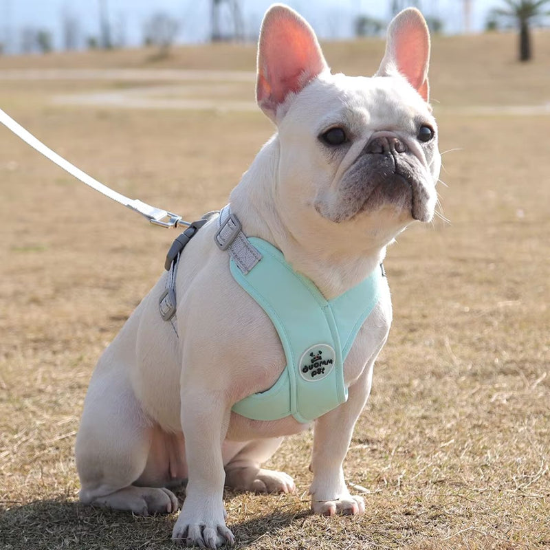 Colete Peitoral Reflexivo Ajustável para Cães e Gatos – Conforto e Segurança para Passeios ao Ar Livre