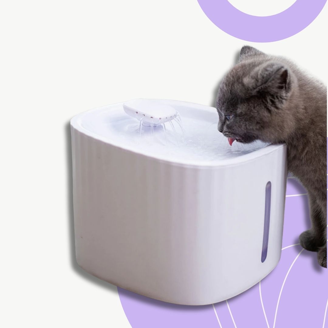 Bebedouro Fonte Automático 3L para Pets