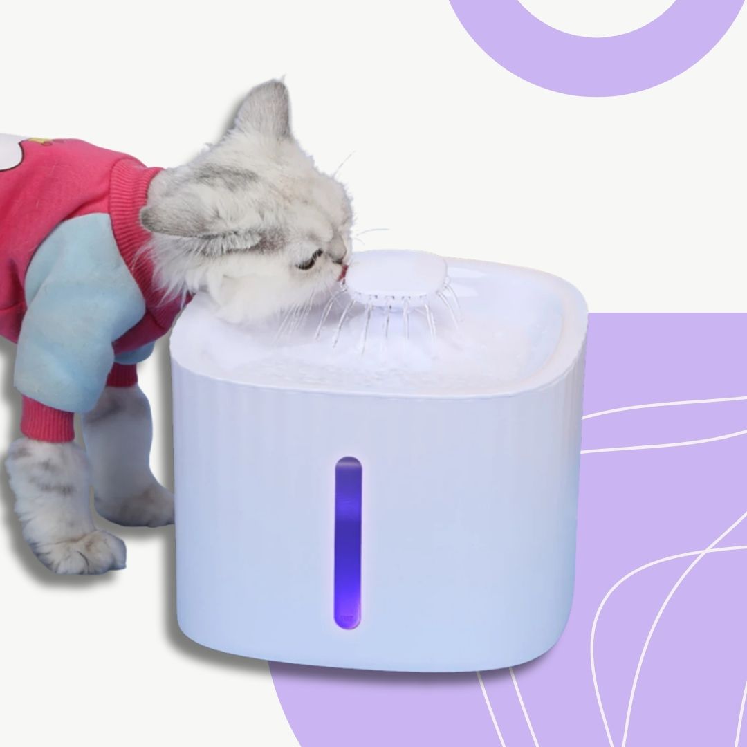 Bebedouro Fonte Automático 3L para Pets