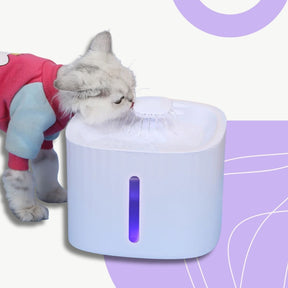 Bebedouro Fonte Automático 3L para Pets