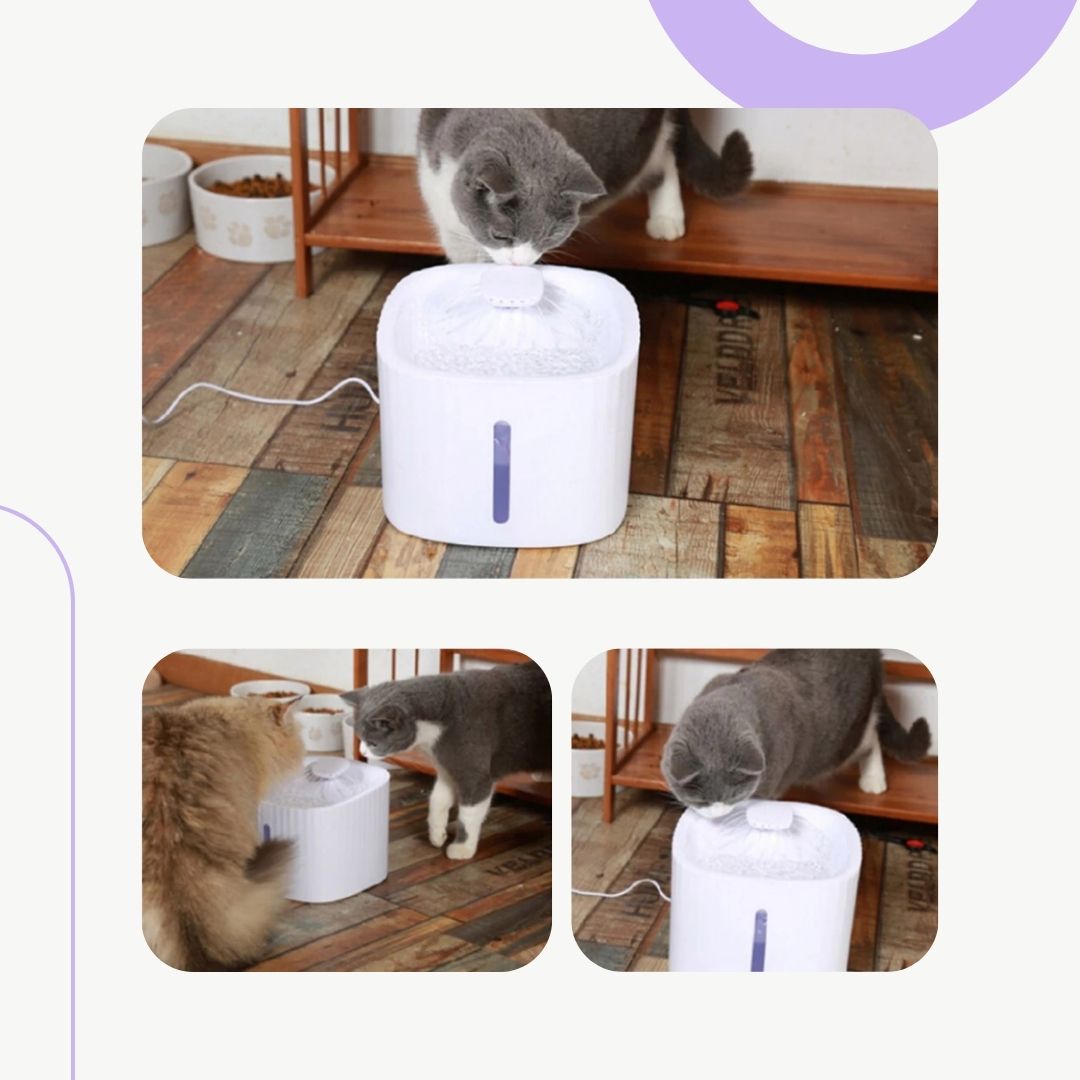Bebedouro Fonte Automático 3L para Pets
