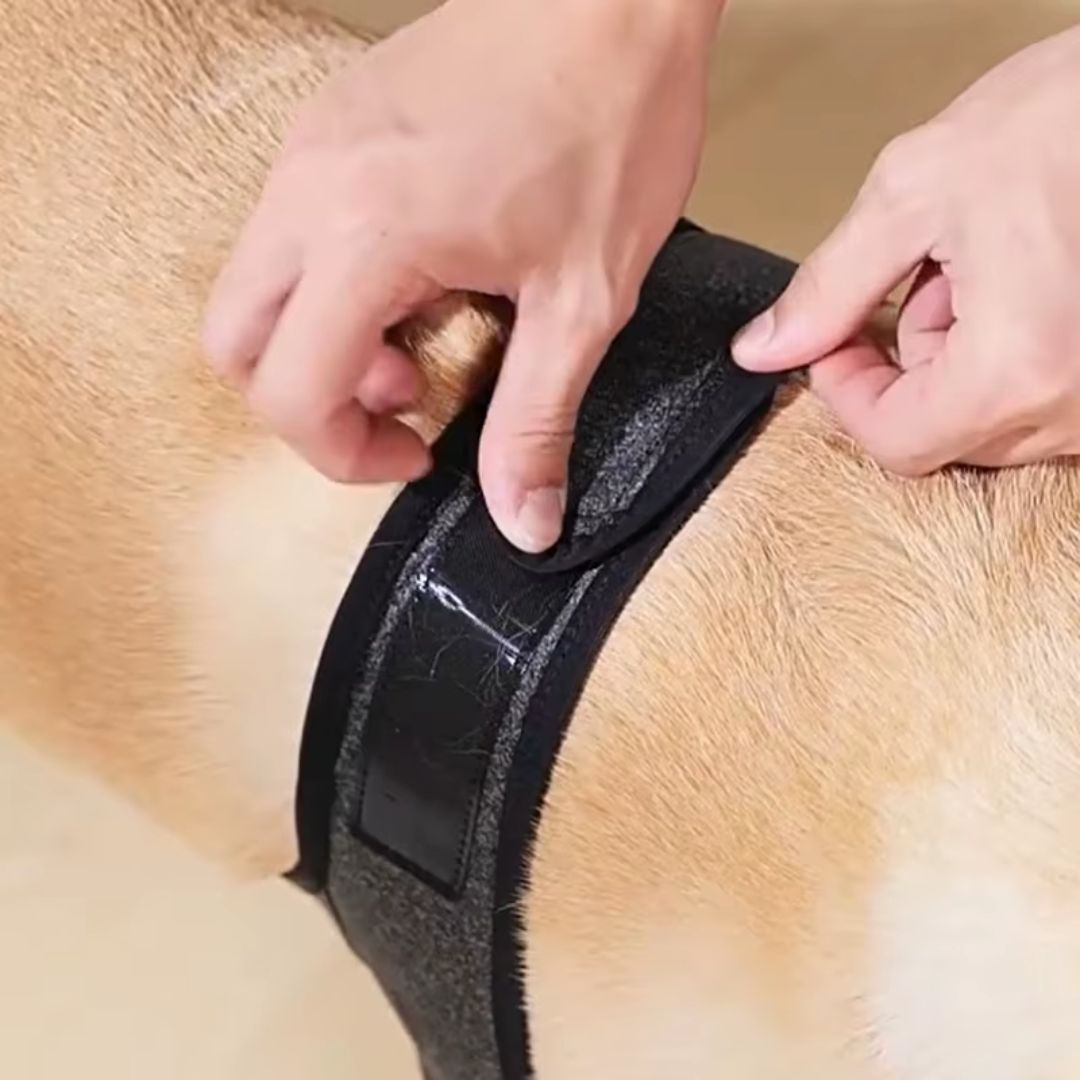 Protetor de Cotovelos Ortopédico para Cachorro – Protege Cotovelos, Feridas e Higromas