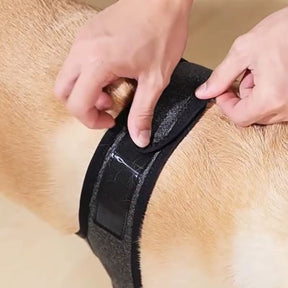 Protetor de Cotovelos Ortopédico para Cachorro – Protege Cotovelos, Feridas e Higromas