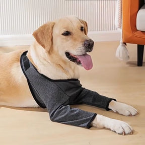 Protetor de Cotovelos Ortopédico para Cachorro – Protege Cotovelos, Feridas e Higromas