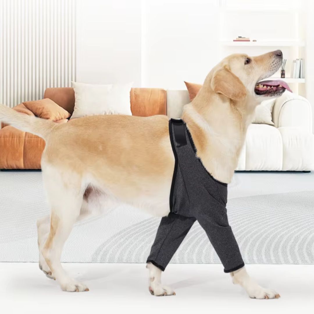 Protetor de Cotovelos Ortopédico para Cachorro – Protege Cotovelos, Feridas e Higromas