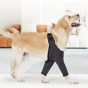 Protetor de Cotovelos Ortopédico para Cachorro – Protege Cotovelos, Feridas e Higromas