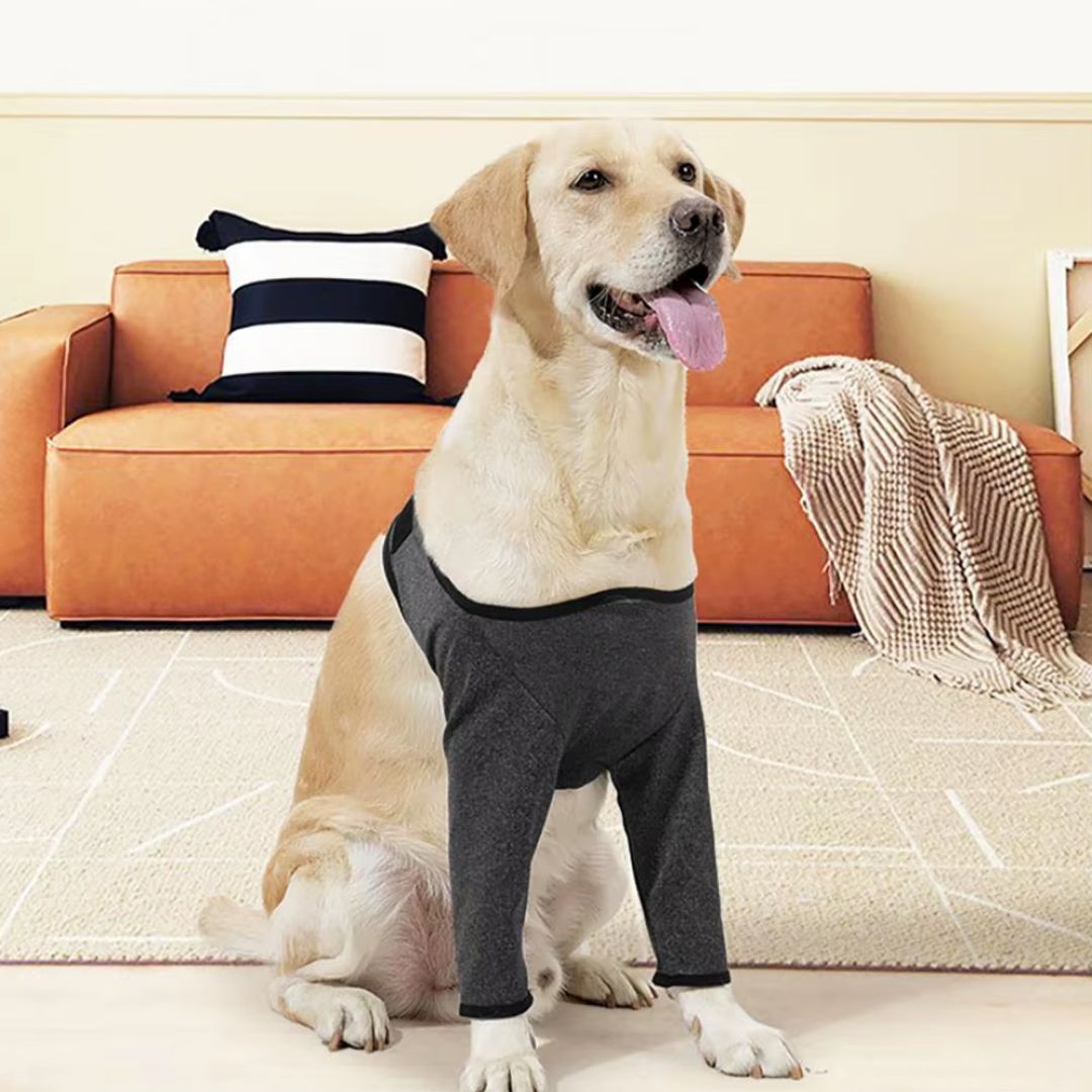 Protetor de Cotovelos Ortopédico para Cachorro – Protege Cotovelos, Feridas e Higromas