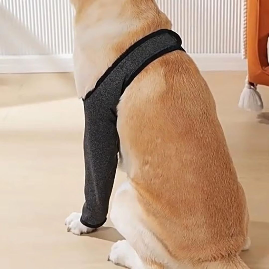 Protetor de Cotovelos Ortopédico para Cachorro – Protege Cotovelos, Feridas e Higromas