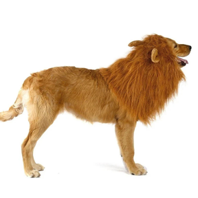 Fantasia de Juba de Leão para Cães e Gatos | Ideal para Pets de Médio e Grande Porte | Perfeita para Sessões de Fotos e Festas Temáticas | Ajustável e Confortável para Uso Prolongado