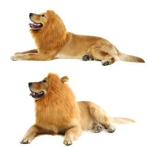 Fantasia de Juba de Leão para Cães e Gatos | Ideal para Pets de Médio e Grande Porte | Perfeita para Sessões de Fotos e Festas Temáticas | Ajustável e Confortável para Uso Prolongado