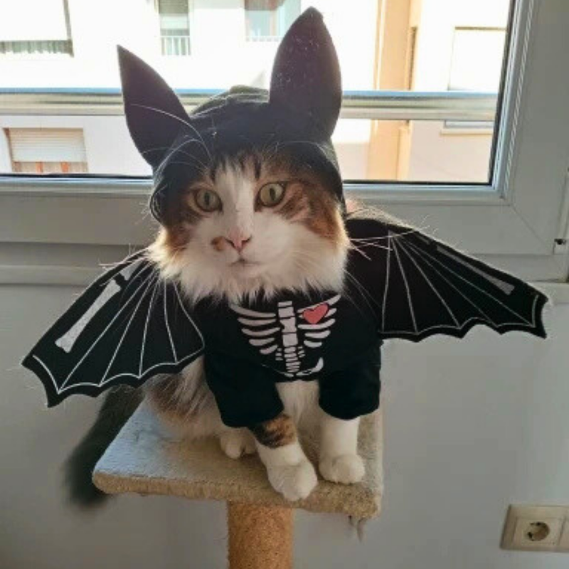 Fantasias para Cães e Gatos | Para Pets de Todos os Tamanhos | Perfeitas para Festas e Fotos | Modelos como Médico, Policial, Astronauta, Cowboy, Pirata, Morcego, Caranguejo e Mula sem Cabeça | Confortáveis, Criativas e Ajustáveis