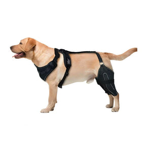 Joelheira Ortopédica para Cães Com Peitoral – Suporte para Joelho e Recuperação