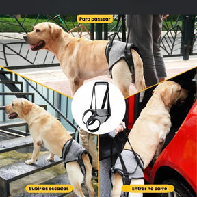 Arnês de Elevação para Cães Idosos e com Problemas de Mobilidade – Suporte Traseiro Confortável Velú Pet