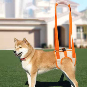 Cinto de Apoio Pet – Mobilidade e Conforto Para Cães com Dificuldades nas Patas Traseiras