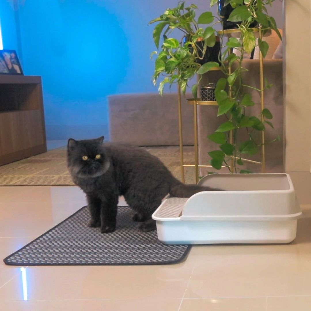 Tapete Coletor de Areia Higiênico para Gatos Limpa Patas velu pet