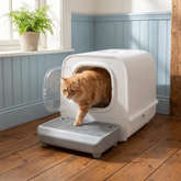 Degrau Caixa de Areia: acesso fácil para gato idoso e/ou obeso — Velú Pet