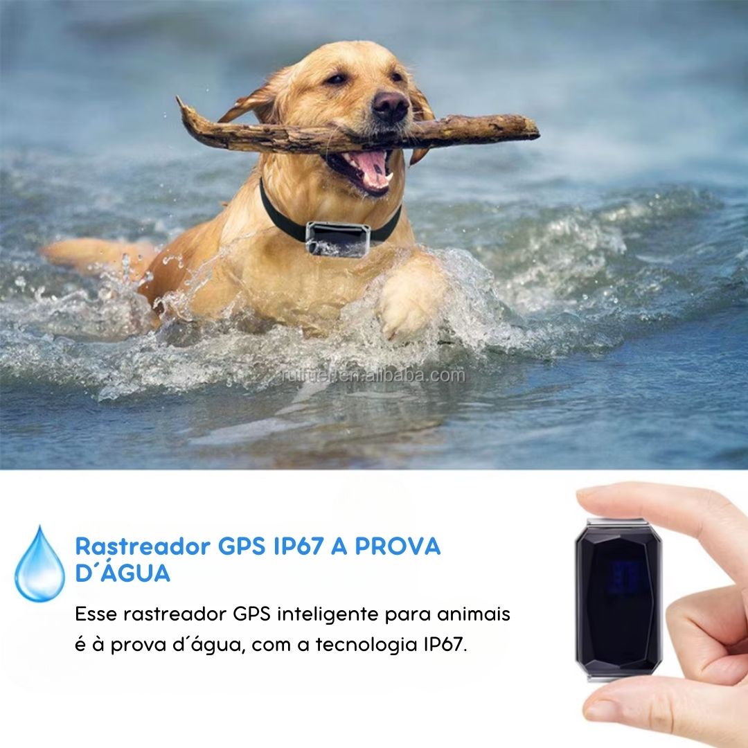 Rastreador GPS Mini à Prova d’Água para Pets | Para Cães e Gatos de Todos os Tamanhos | Monitora em Tempo Real e Evita Perdas | Design Compacto com Controle Remoto