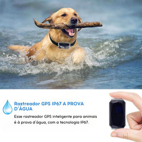 Rastreador GPS Mini à Prova d’Água para Pets | Para Cães e Gatos de Todos os Tamanhos | Monitora em Tempo Real e Evita Perdas | Design Compacto com Controle Remoto